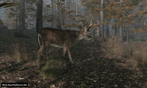 Pro Deer Hunting 2 Screenshot 1, Full Version, PC Game, Download Free