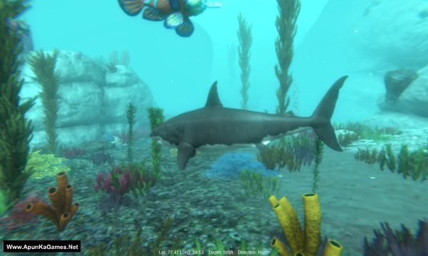 Alpha Shark Screenshot 1, Full Version, PC Game, Download Free