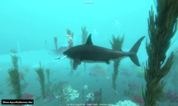 Alpha Shark Screenshot 3, Full Version, PC Game, Download Free