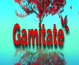 Gamitate: Meditate, Relax, Feel Better